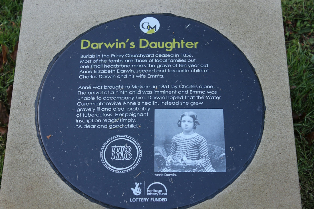 a plaque with a picture of a girl on it