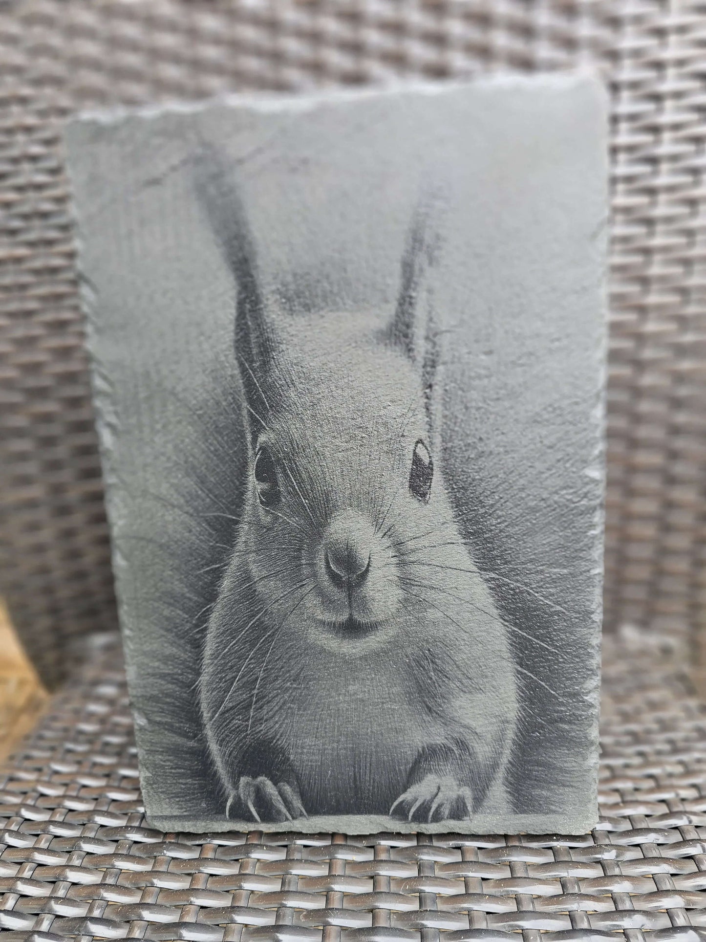 slate Laser Engraved Squirrel Art – Wildlife Wall Plaque (30x20cm)