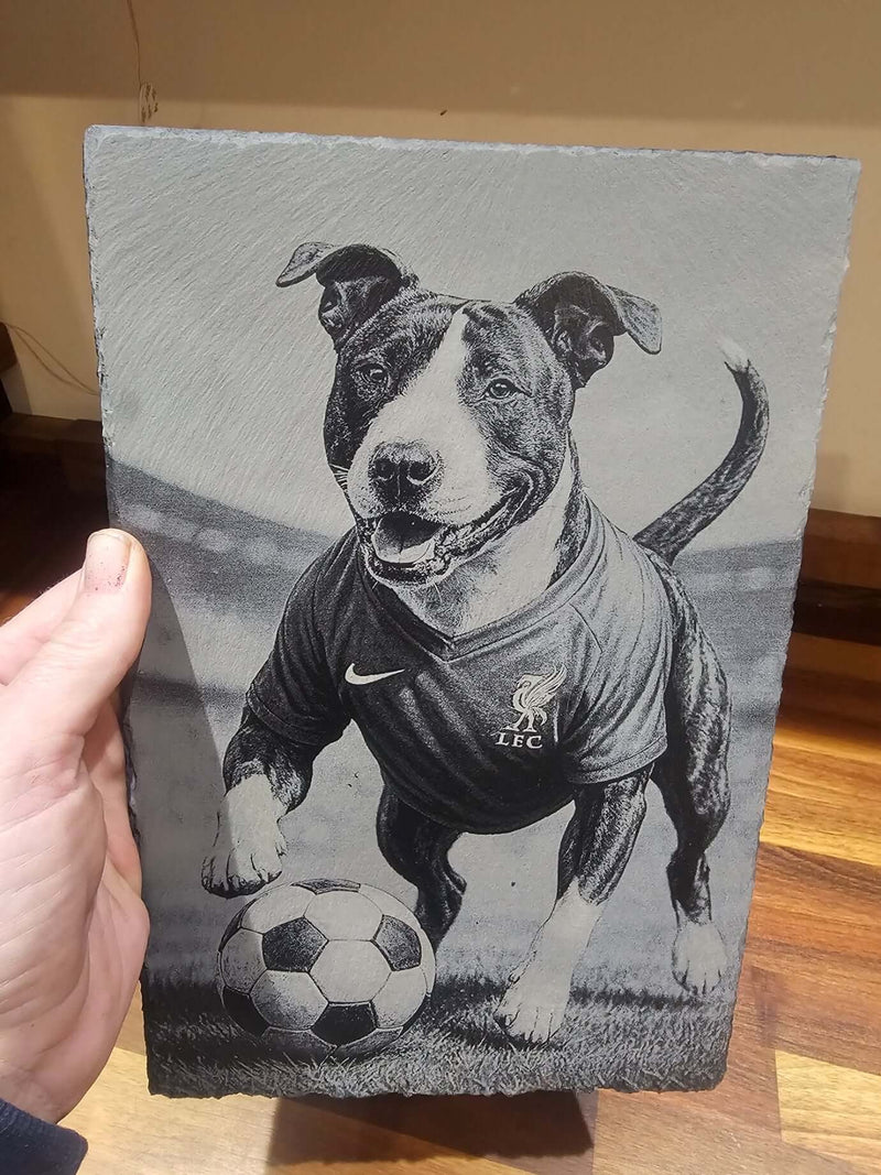 Customer photo